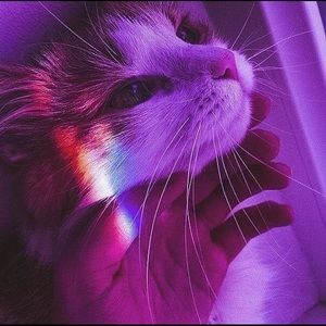 Meet your Posher, Uvie